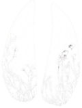 Gemini Generated Image f8c9szf8c9szf8c9 removebg preview (1)
